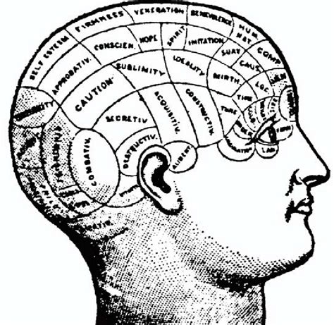 Zonas del cráneo localizadas en la frenología Fuente: Millar (2017 ...