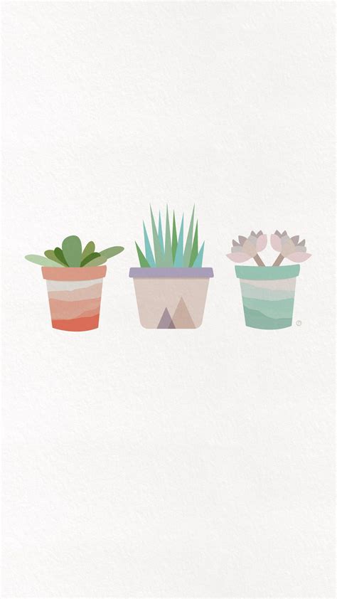 Succulent Aesthetic Desktop Wallpapers on WallpaperDog