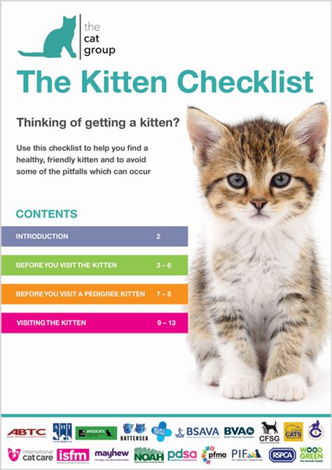 The Cat Group Kitten Checklist - Katzenworld