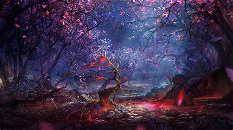 Enchanted Forest, magical, art, forest, trees, HD wallpaper | Peakpx