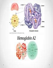 Hemoglobin-A2.ppt - Hemoglobin A2 Introduction • HBA2 is a protein which in humans is encoded by ...