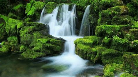 Waterfall Stream Between Algae Covered Rocks During Daytime HD Nature ...