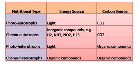 IB Biology/Chemistry: IB Biology on Microbes and Bacteria Option F