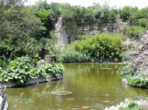 Japanese garden pond Stock Photo | Adobe Stock