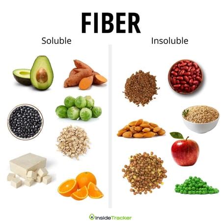 From Muscle Fiber to Dietary Fiber: New Connections with Muscle Gain and Fat Loss