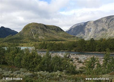 National Park Dovrefjell Photos, National Park Dovrefjell Images, Nature Wildlife Pictures ...