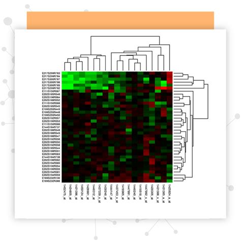 Microarray Expression and miRNA Profiling - EpigenDx