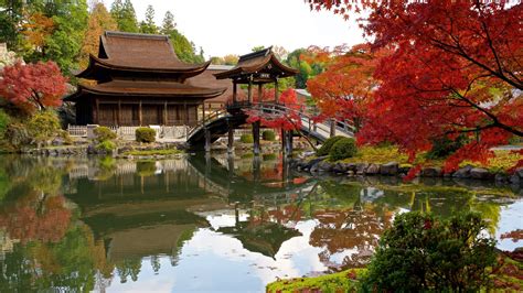 Download Garden Reflection Park Pond Fall Religious Pagoda 4k Ultra HD ...