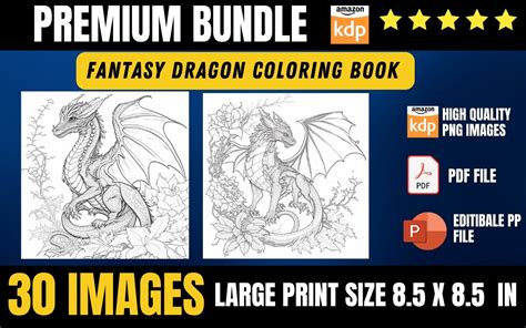 FANTASY DRAGON COLORING BOOK Graphic by A Design · Creative Fabrica