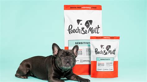 What's the best food for dogs with allergies? | Pooch & Mutt