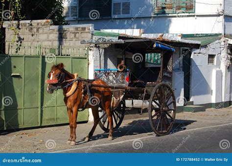 Vigan Kalesa Or Horse Drawn Carriage Editorial Photo | CartoonDealer ...