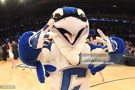 Creighton Mascot Photos and Premium High Res Pictures - Getty Images