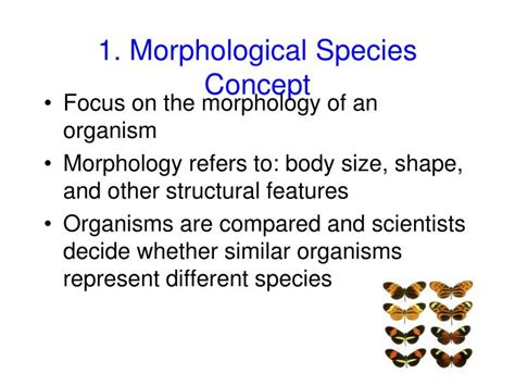 PPT - Identifying Species: Using the Species Concept PowerPoint ...