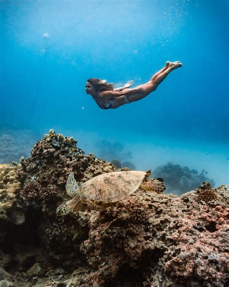 Turtle Canyon Snorkel Tour in Waikiki, Oahu | Come Join Us! — Captain Max Boat Tours -- Honolulu, HI