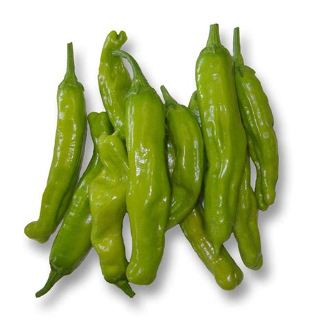 Shishito Sweet Pepper Seeds – Sandia Seed Company