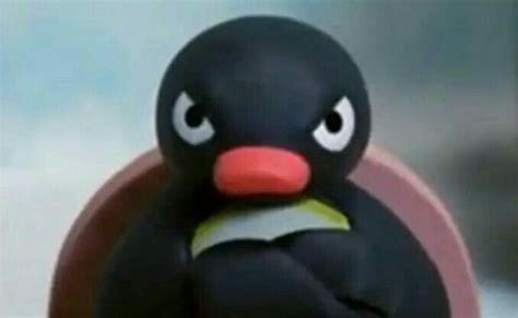 Pin by K4tsuk1x on มีมมมมมม | Pingu memes, Pingu pingu, Pingu