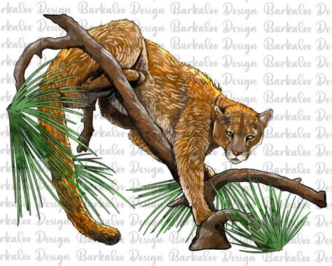 Florida Panther Clipart