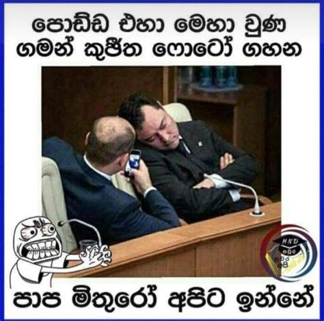 Fathi Nuzy sinhala memes | Jokes quotes, Jokes photos, Fake love quotes