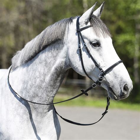 Horze Leather Bitless Bridle | Dressage Extensions