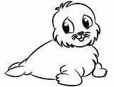 Little Fur Seal Coloring Page  Free Printable Pages For Kids sketch template