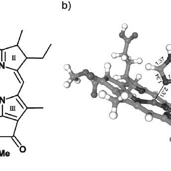 (a) Schematic representation of the bacteriochlorophyll- a structure.... | Download Scientific ...