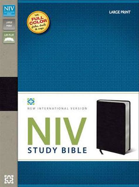 Study Bible-NIV-Large Print by Zondervan, Bonded Leather, 9780310437574 | Buy online at The Nile