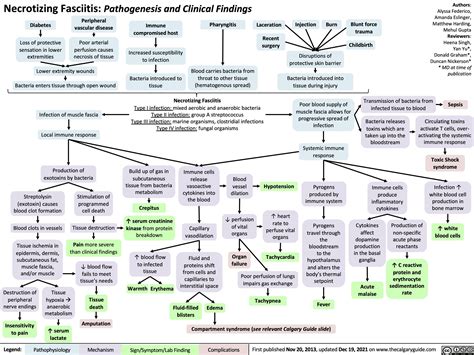 Necrotizing Fasciitis: Pathogenesis and Clinical Findings | Calgary Guide