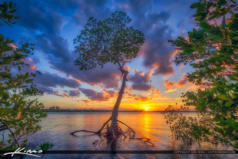 lake worth lagoon | Product Tags | Royal Stock Photo