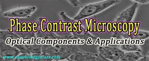 Working Principle of Phase Contrast Microscope | easybiologyclass