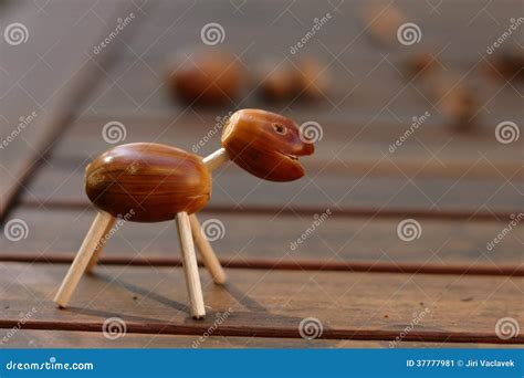 Acorn animal stock image. Image of outdoor, funny, horse - 37777981