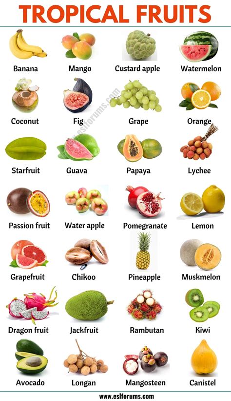 Tropical Fruits: List of 25+ Popular Tropical Fruits in English - ESL Forums | Fruits and ...