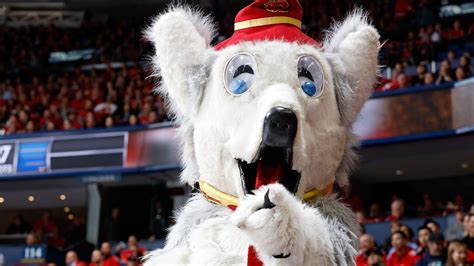 Calgary Flames Mascot Harvey The Hound / 90 Calgary Flames Mascot Jalur Ilmu - Introduced in ...