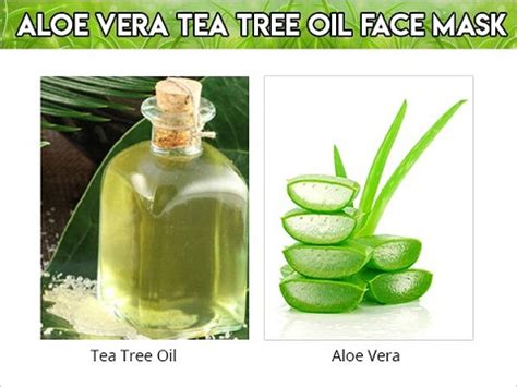 5 Latest Tea Tree Face Mask Products In India | Styles At Life