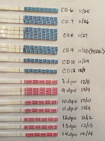 Help Reading Ovulation Test Please | BabyCenter