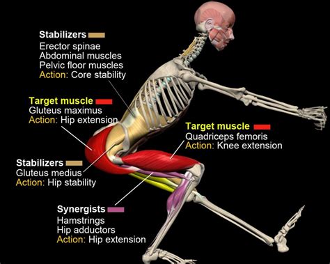 The Anatomy of The Pistol Squat | How to get a Pistol Squat, Step by Step