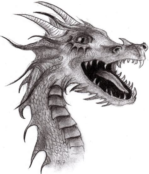 Pencil Drawing of Dragon