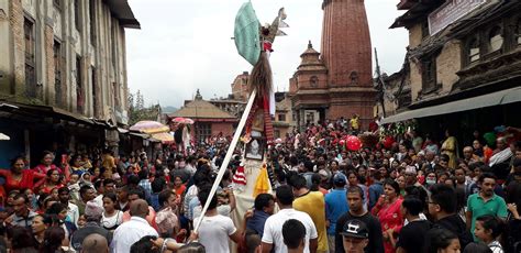 Gai Jatra | A Festival Of Cow | Great Nepal Treks And Expedition