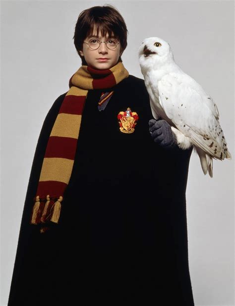 Harry holds Hedwig — Harry Potter Fan Zone