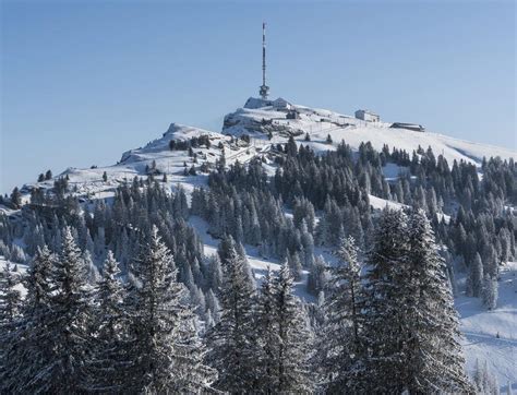 Rigi in Winter | Recreation in Zurich