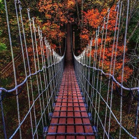 Hocking Hills Canopy Tours (Rockbridge) - All You Need to Know Before ...