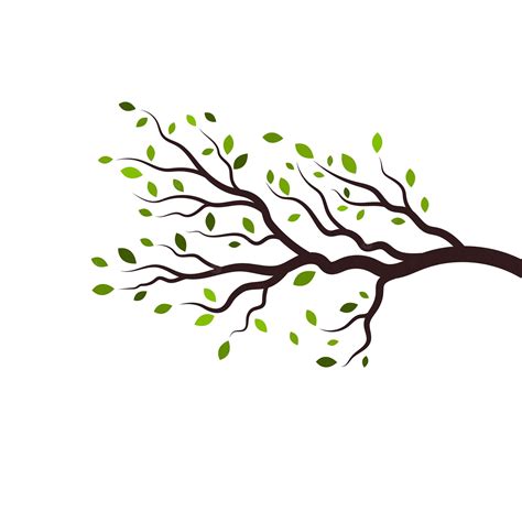 Premium Vector | Tree branch vector ilustration design