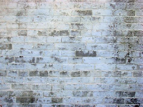 white-brick-wall | Jacob Robinson | Flickr
