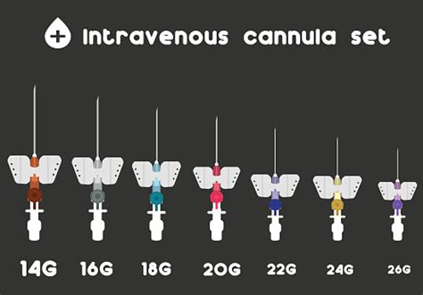 Intravenous Cannula Set Different Sizes Of Intravenous Cannula Stock Illustration - Download ...