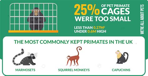 55 Alarming Animals In Captivity Statistics - We're All About Pets