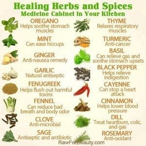 Healing Herbs and Spices - Southern Roots Kitchen