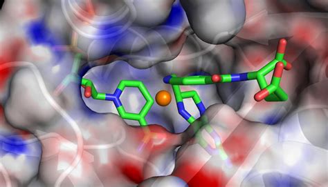 The Molecular Dynamics Process - LAMMPS Tube