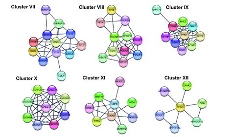 Results of protein-protein interaction analysis. The six top-scored... | Download Scientific Diagram