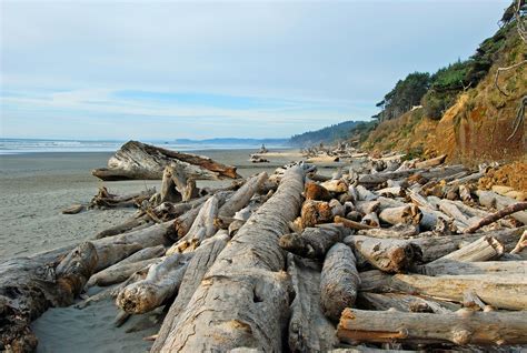 Kalaloch Campground, a Washington National Park