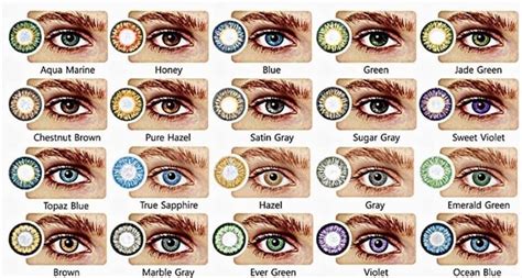 8 best eye color chart genetics images in 2020 eye color chart eye - 8 ...