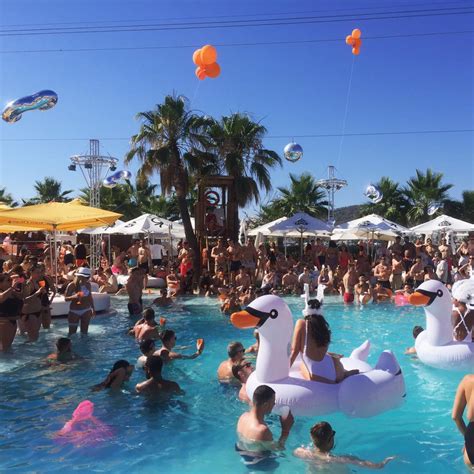 Ocean Beach Ibiza on Twitter: "The Swans have arrived... #poolparty ...